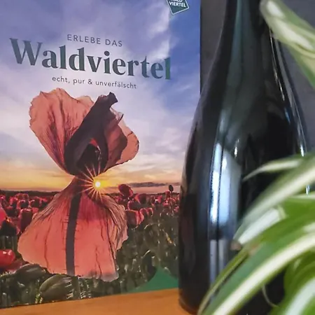 Мини-отель Bauer Grafenschlag